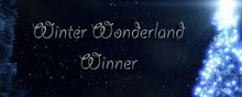 I'M A WINTER WONDERLAND WINNER