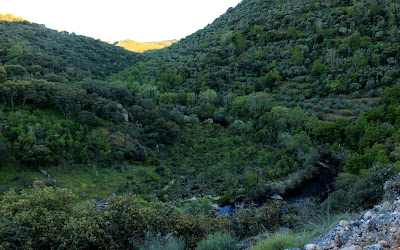 Paisajes del Pozo de los Humos