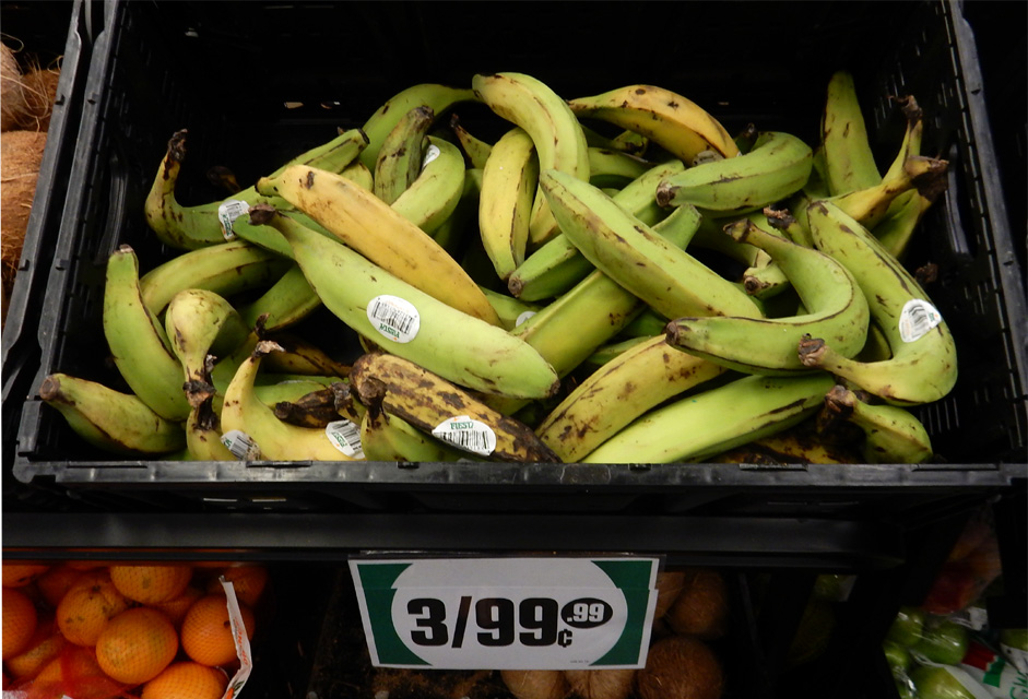 The 99 Cent Chef Frozen Plantains Deal of the Day