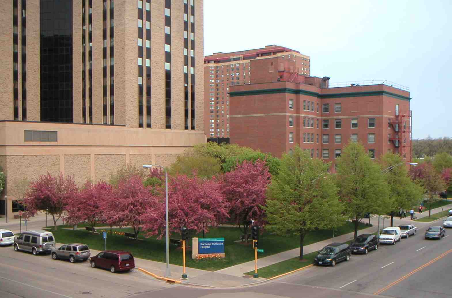 Visit Mayo Clinic