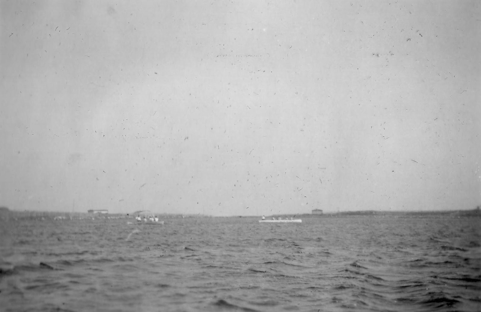 Lower Island Cove Lower Island Cove Regatta The First Years