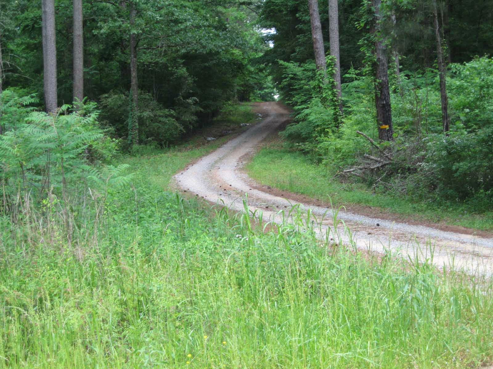 La Lair On Wheels Yeehaw! Finally left Texas for an eightmonth road