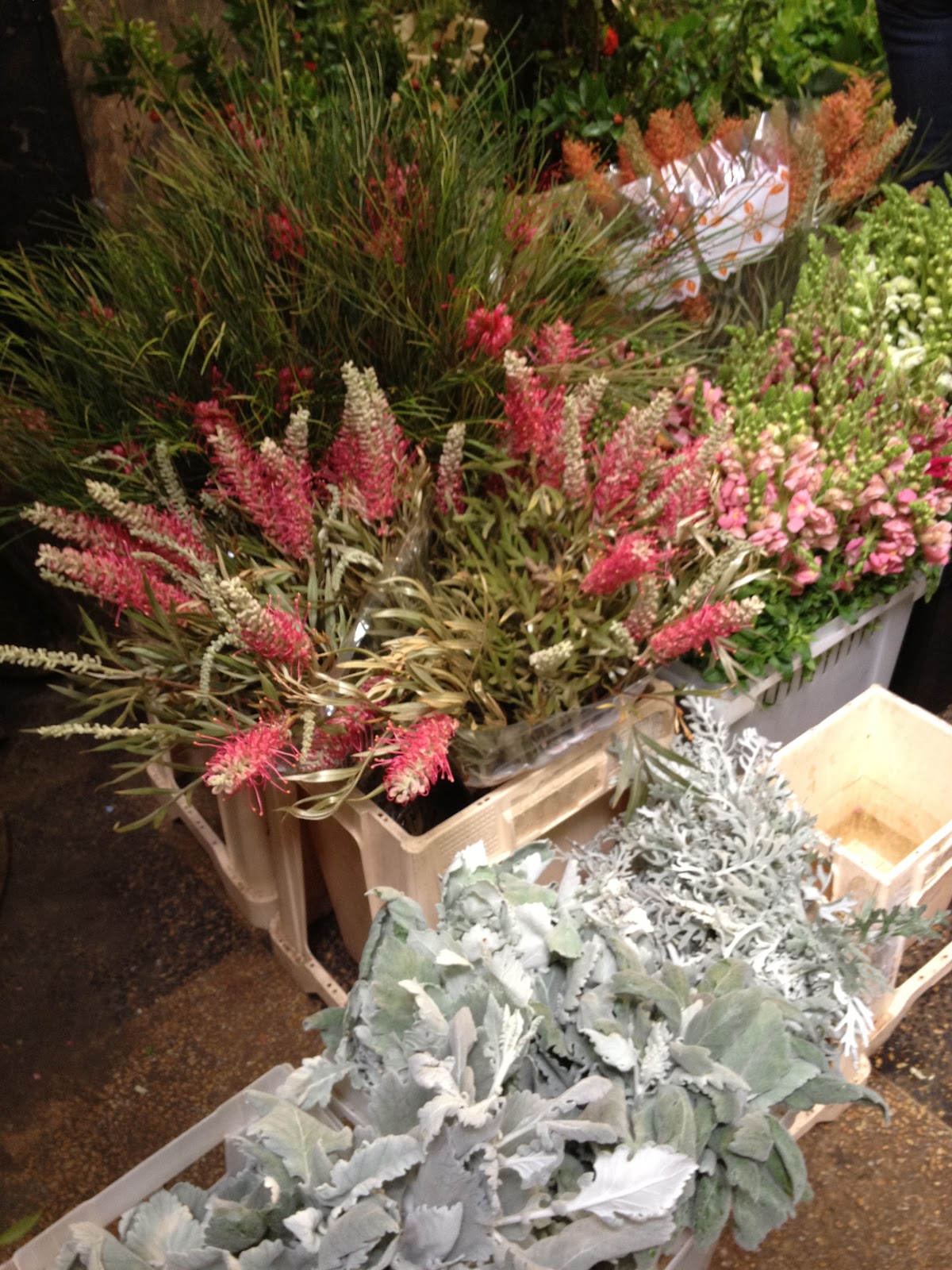 Brooke In Bloom Chelsea Flower District in Bloom