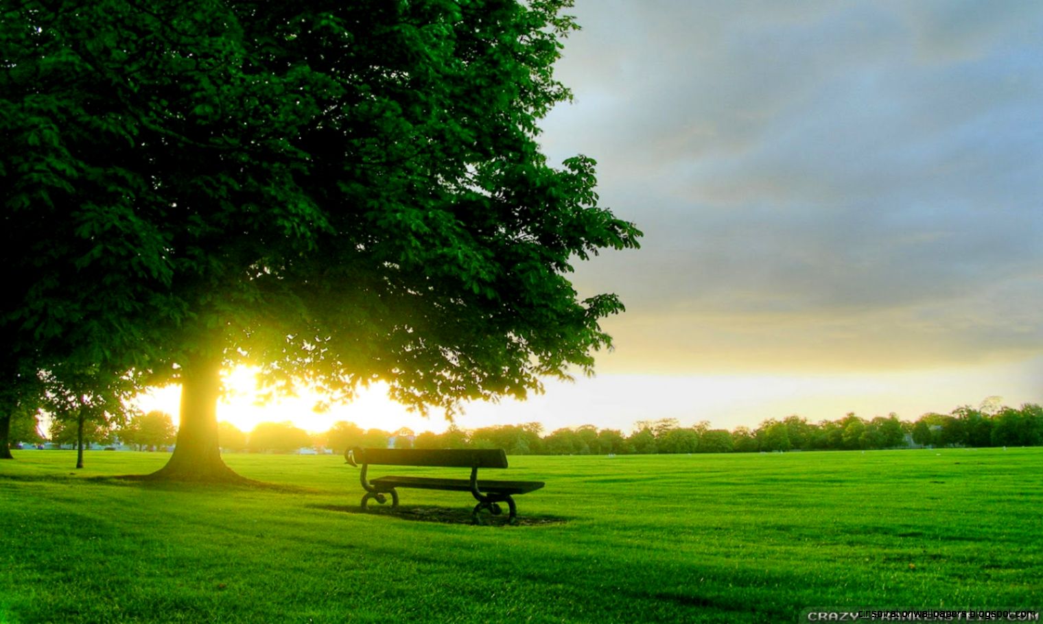 Beautiful HD Wallpapers Amazing Spring Sunrise Desktop Wallpaper