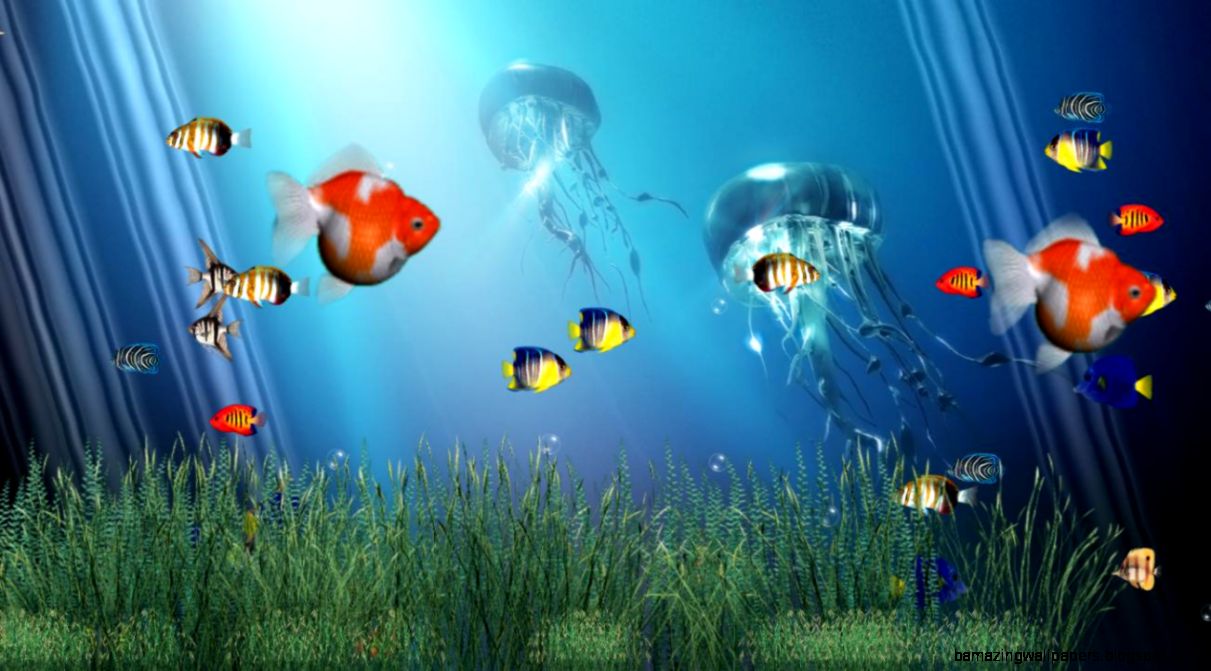 Download C Reef Aquarium Animated Wallpaper