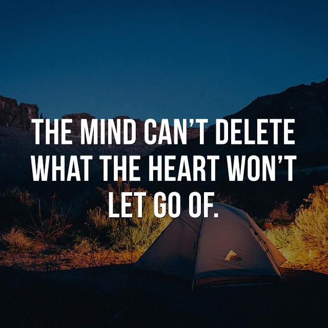 The mind can't delete what the heart won't let go of. - Beautiful Quotes with Pictures
