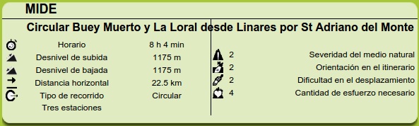 Datos MIDE ruta Linares, Buey Muerto y La Loral