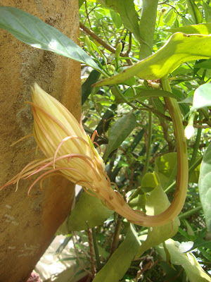 Fun & Info @ Keralites.net