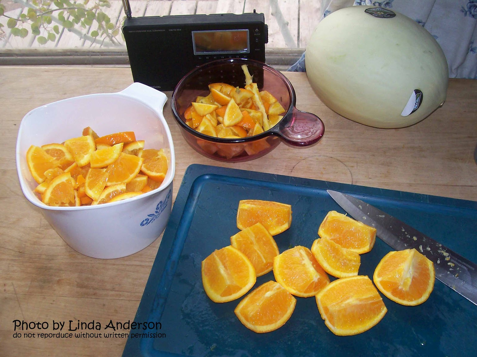 Dehydrating Way Beyond Jerky Candied Orange Slices