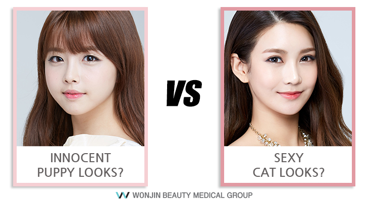 cat surgery puppy plastic eyelid wonjin eyes secret korea line necessary slanted