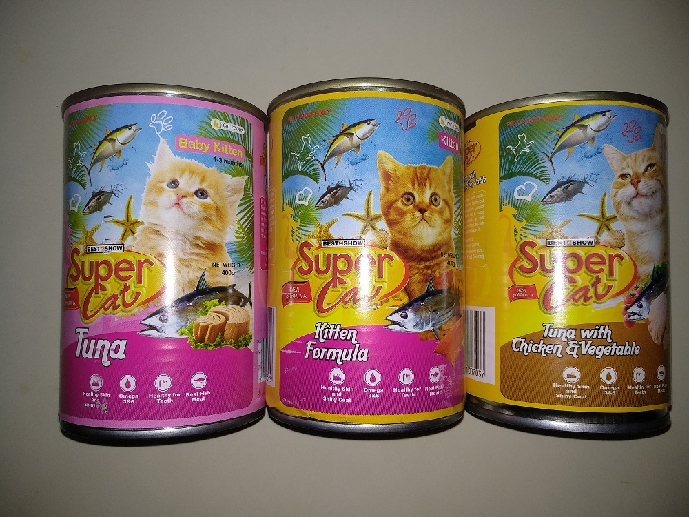 super cat baby kitten