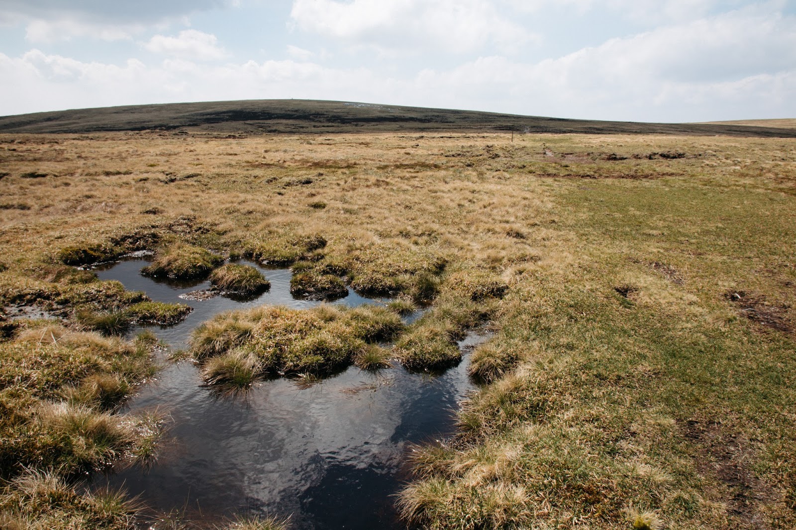 A' Bhuidheanach Bheag and Carn Na Caim, 26th May 2017