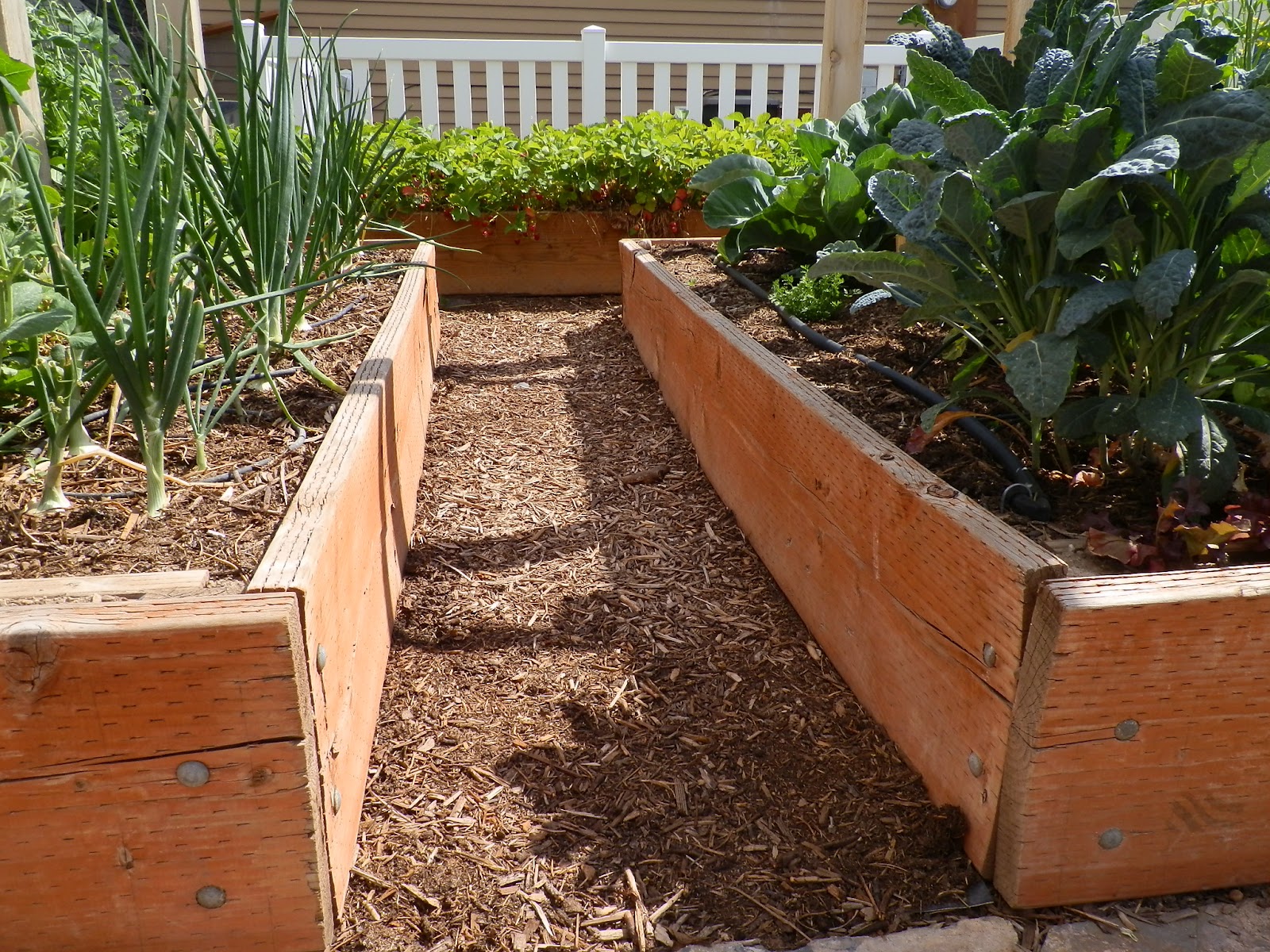 The Gardener's Spot: Making Walking Paths in the Garden