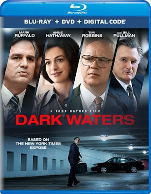 Dark Waters 2019 Eng BRRip 480p 400Mb ESub x264