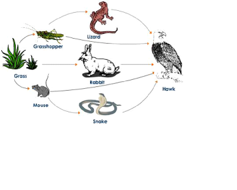 Standard Note Ecosystem