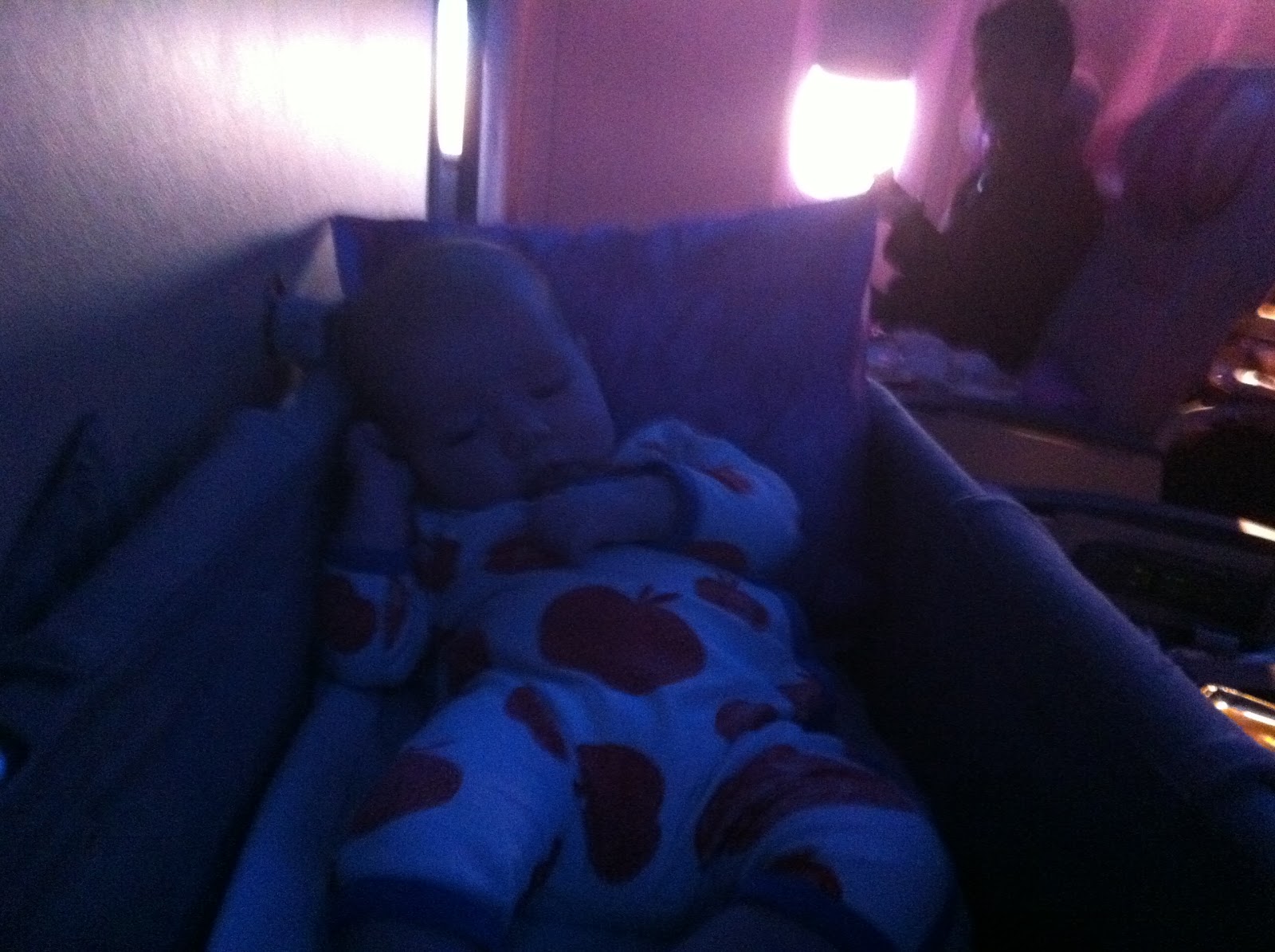 Bassinet emirates picture Clearance