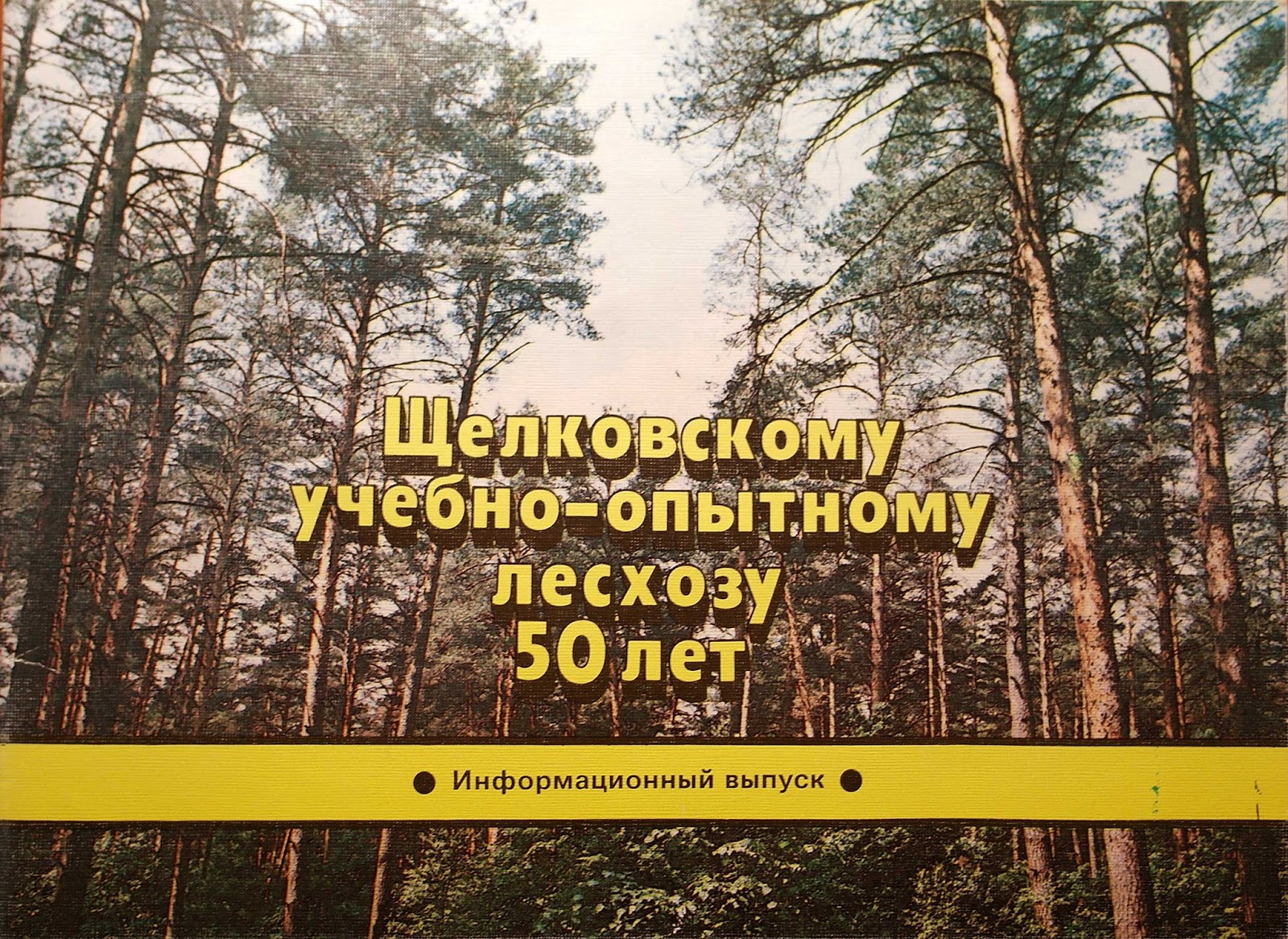 Подмосковный краевед: Щелковский учебно-опытный лесхоз 30 лет назад