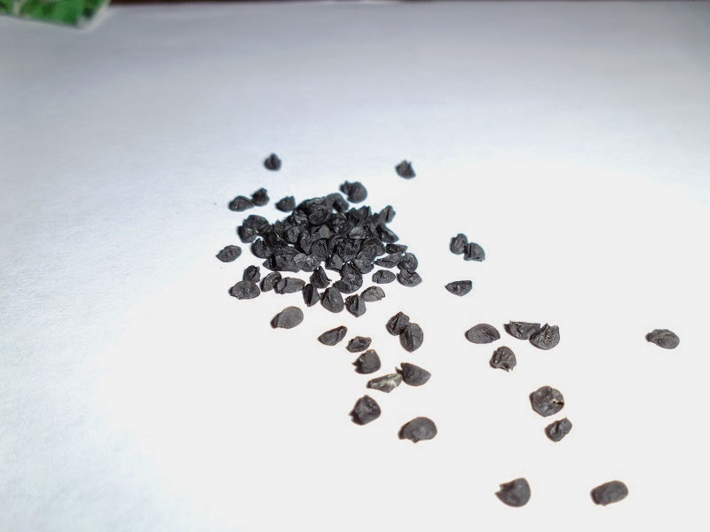 White Lisbon Onion Greens and Machines