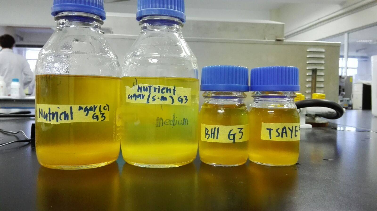 BIOLOGY FOR TECHNOLOGISTS' LABORATORY REPORTS LAB 3 PREPARATION AND