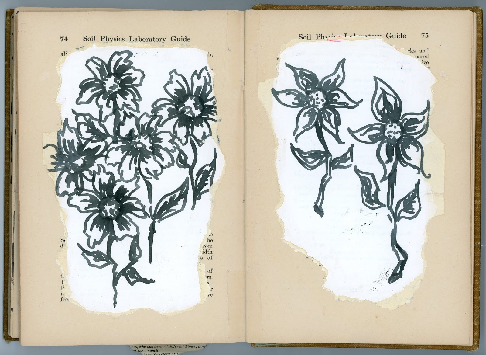 What's New With Jeannie Lou?