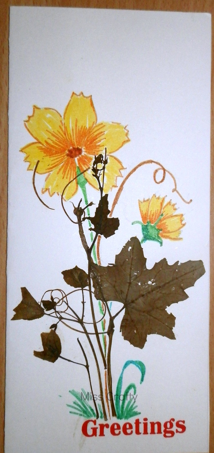 the craft gallery pressed flowers greeting cards part 1
