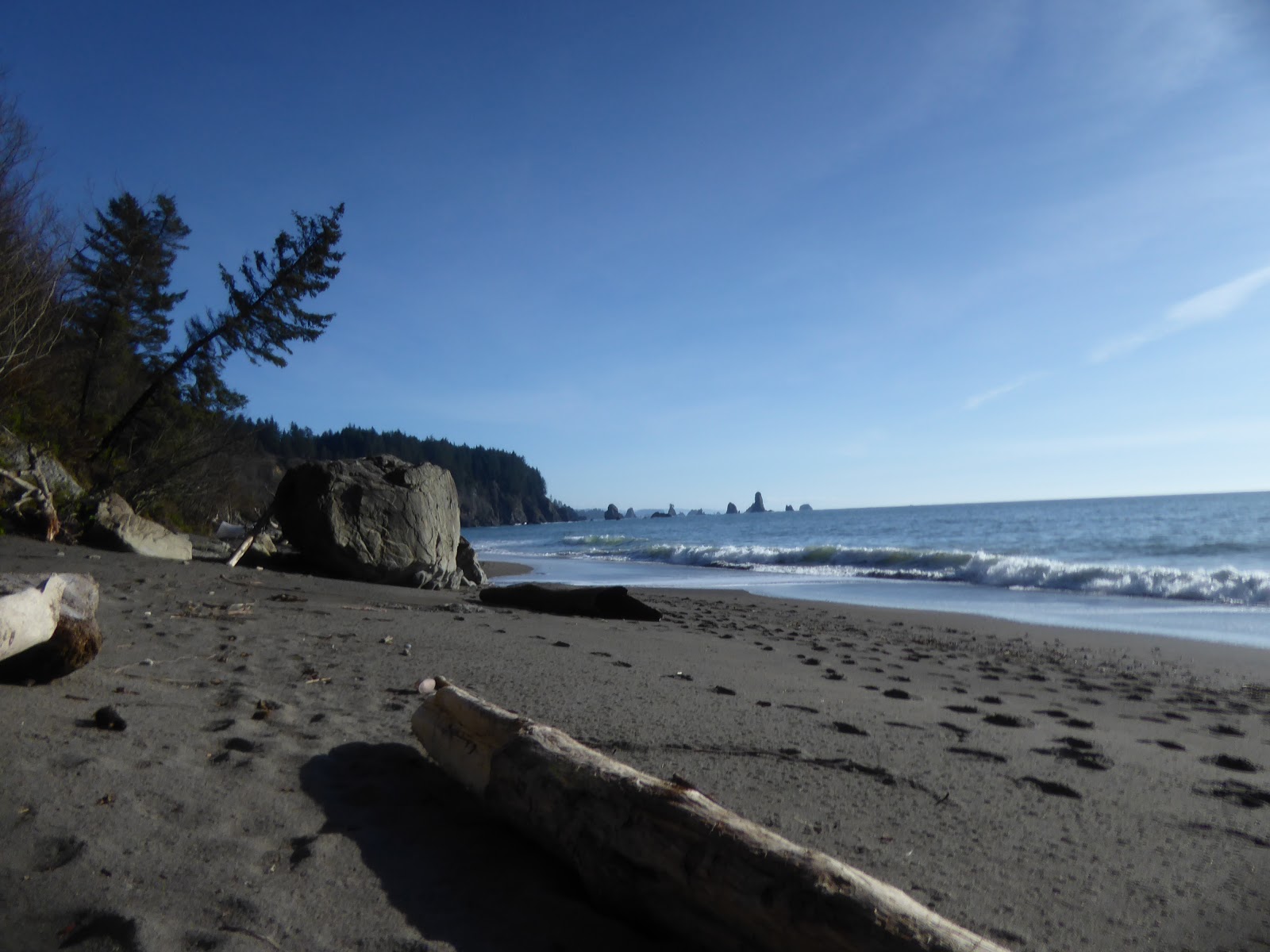 Olympic Peninsula Beaches Unique Coastal Wonders
