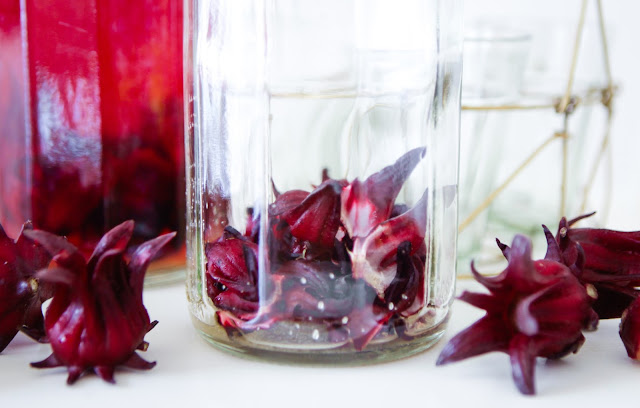 Fresh Hibiscus Kombucha Tea