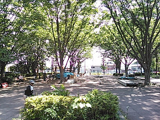 武蔵野公園スケートボード広場