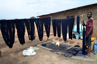 The processed cotton threads are dyed and dried
