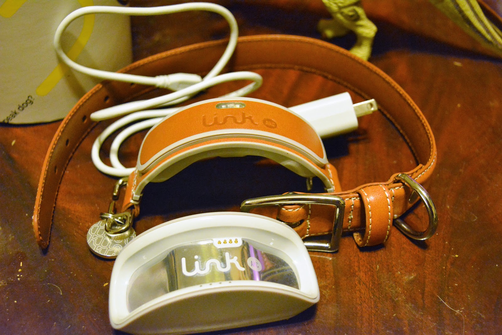 link akc subscription