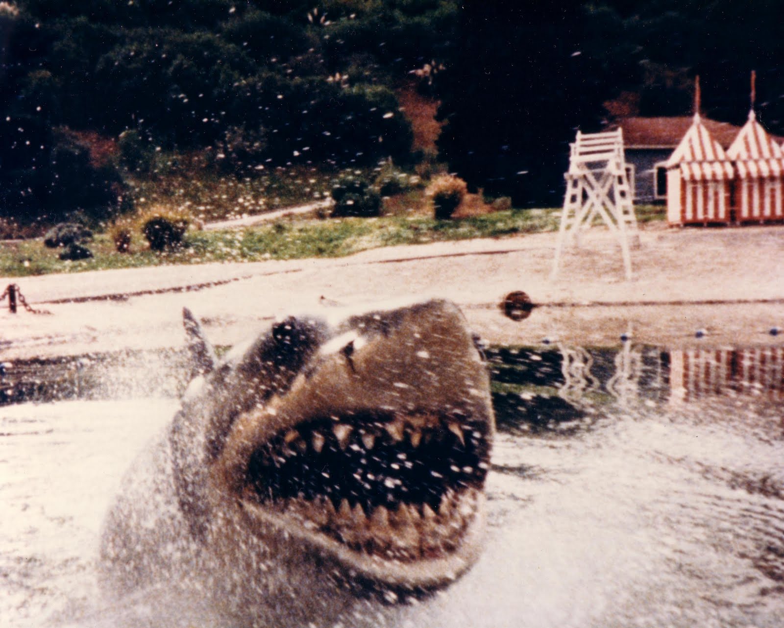 Titans Terrors and ToysIn Defense of Jaws 2