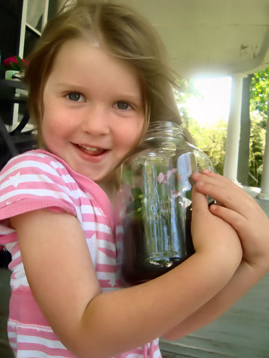 Make a Mini-Mary Garden with Kids