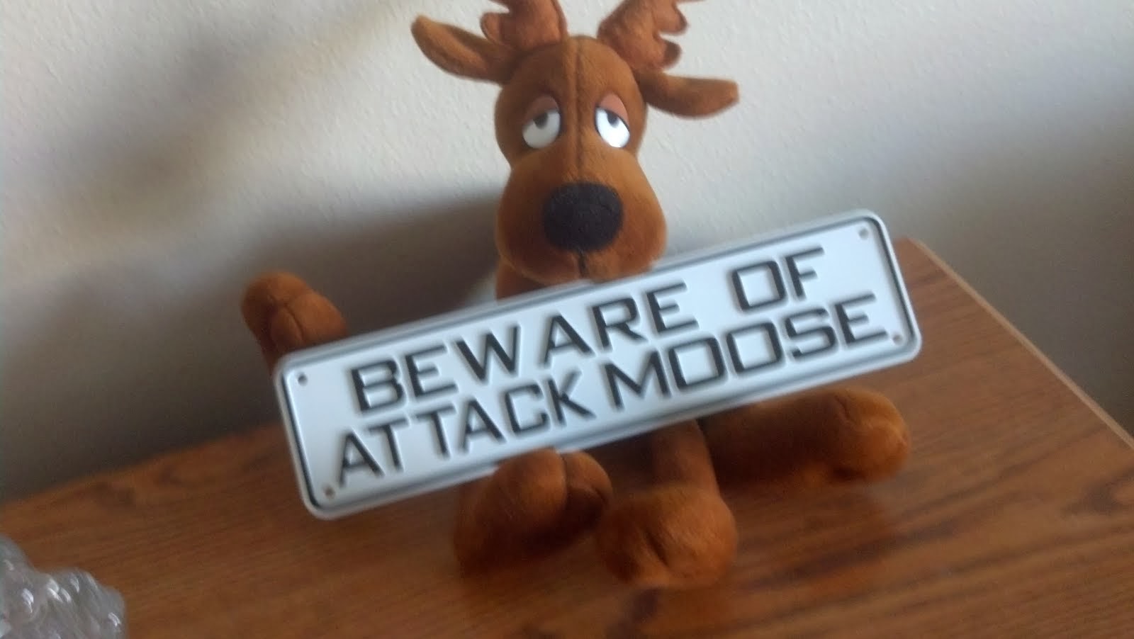 ... Beware of Attack Moose ...