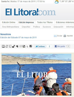 Avistajes de Ballenas en Puerto Pirámides y costero desde Puerto Madryn