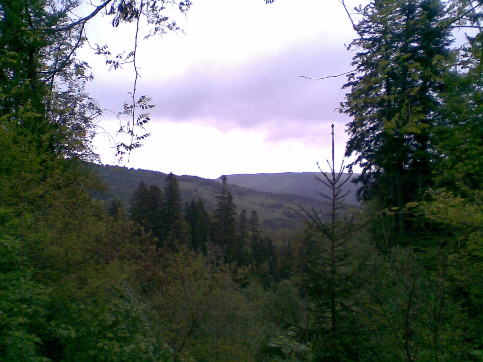 Melly Pe drumuri de munte