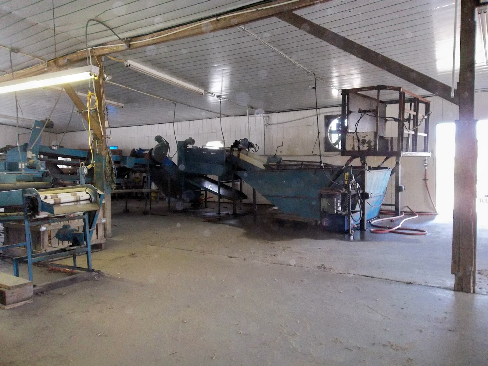 PRACTICAL PARSIMONY Sweet Potato Storage