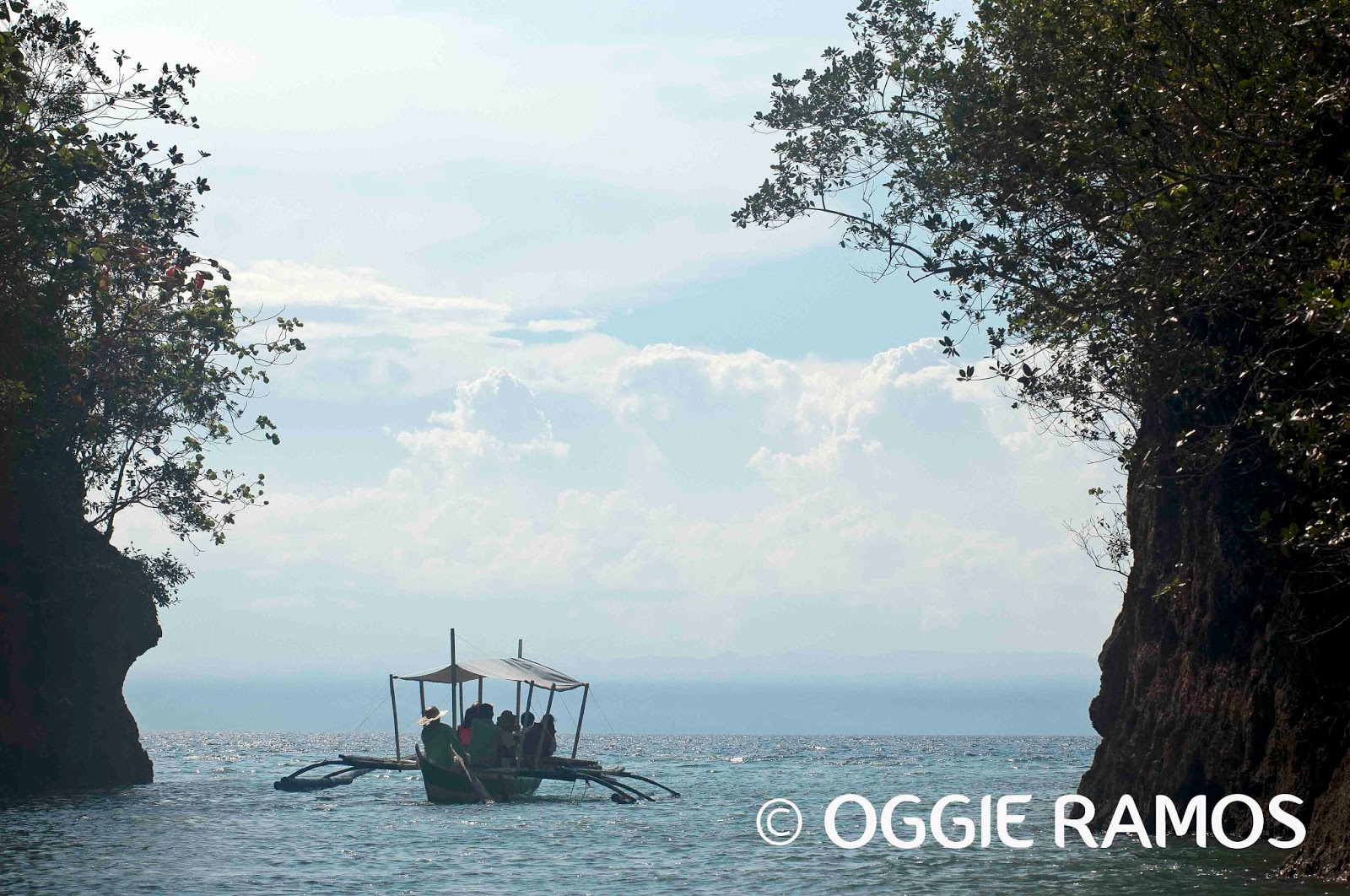 Lagalog Philippines Travel Photography Blog: Notes from Tañon Strait ...