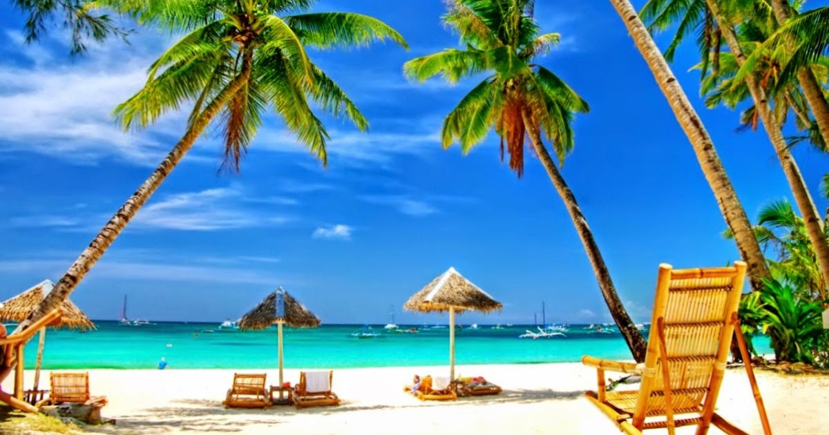 download background zoom download background zoom