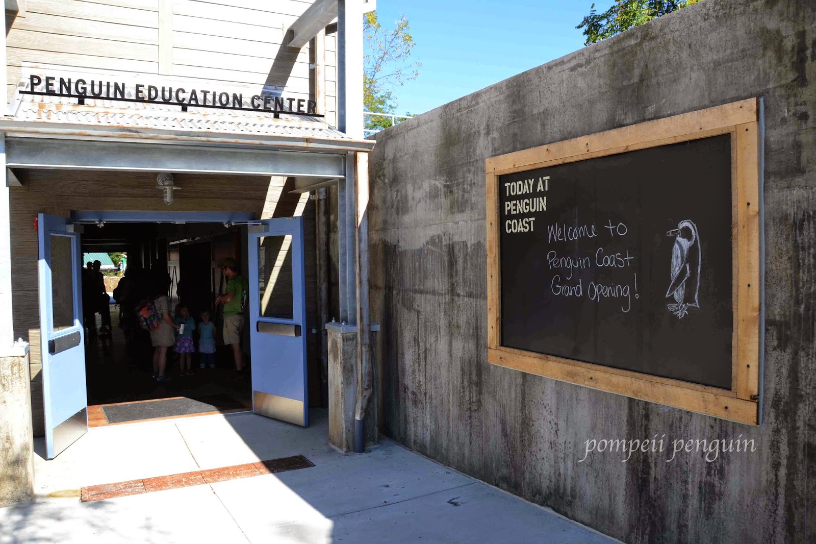 Pompeii Penguin- Attempting to Fly: New Penguin Exhibit at the