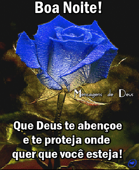 boanoite64.gif