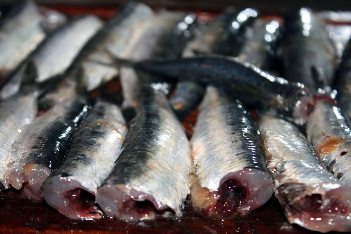 Recette de Sardines à l'escabèche façon pieds noirs