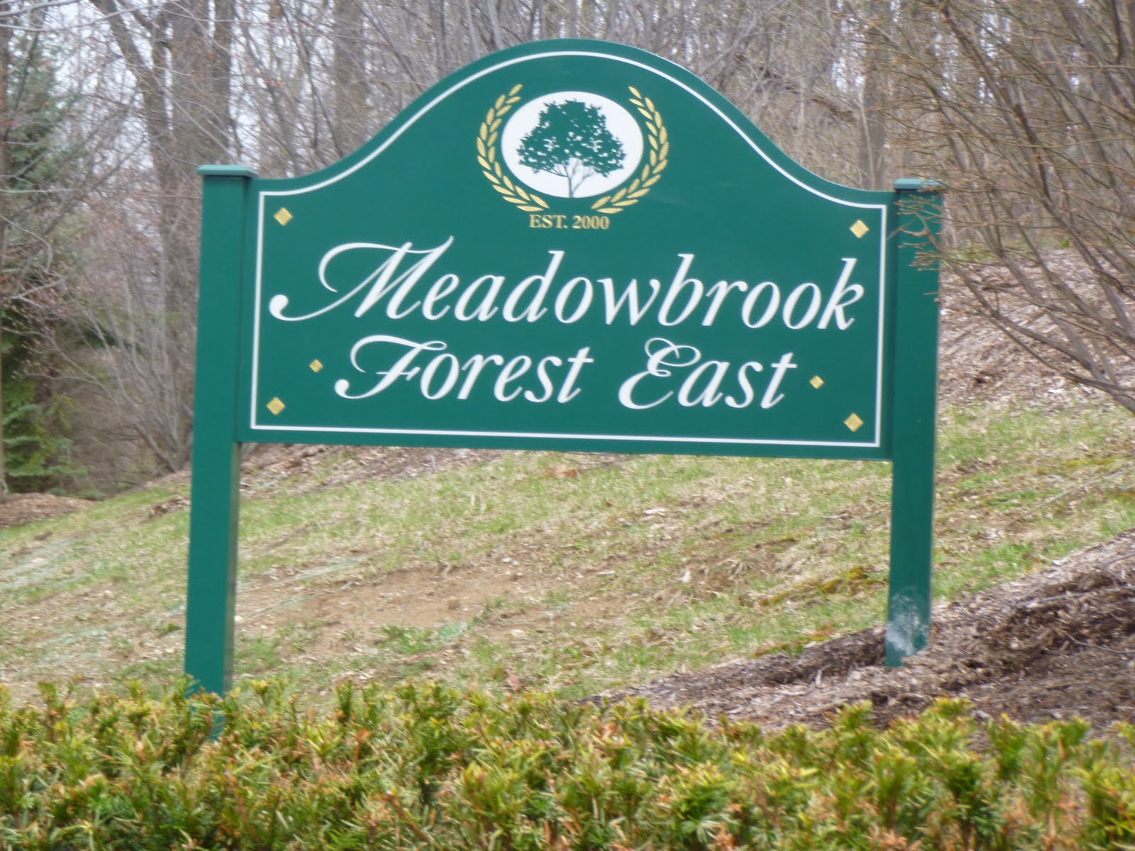 Homes for Sale in Farmington Hills MI Blog Subdivision Meadowbrook
