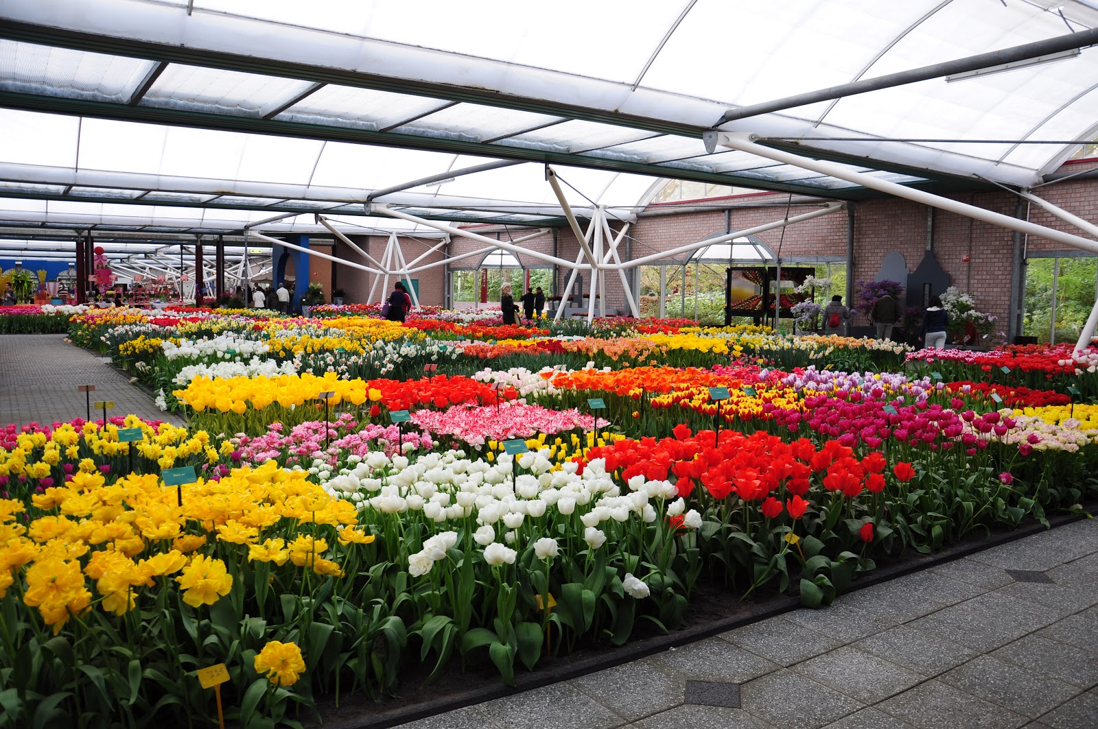 IrmanMawardi Keukenhof Taman  Bunga  Tercantik Di Dunia