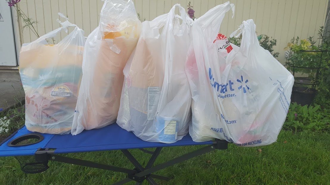 Mom's bags of tricks Walmart Haul