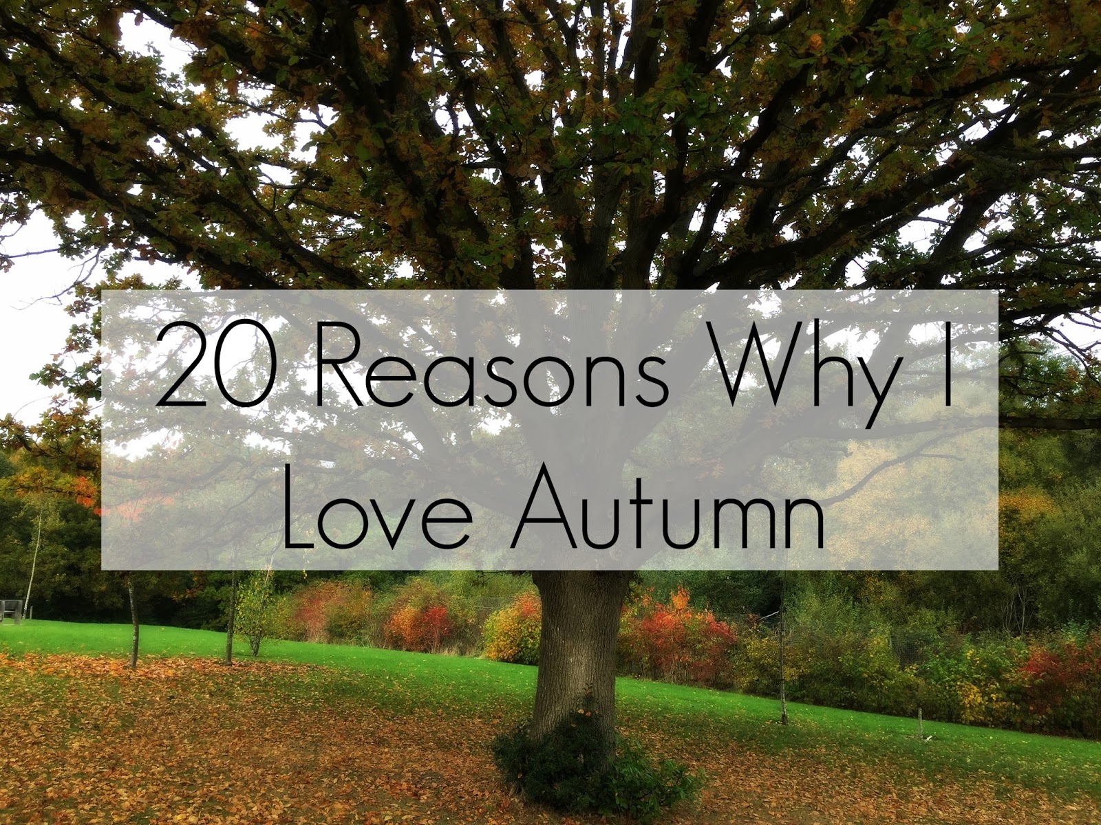 20 Reasons Why I Love Autumn