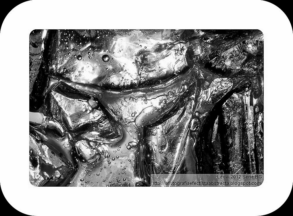 Abstract Photo 3010 A to Z 2014 "L" Tribute to "Luna" Tiger Lily Abstract Photo 3010 A to Z 2014 "L" Tribute to "Luna" Tiger Lily