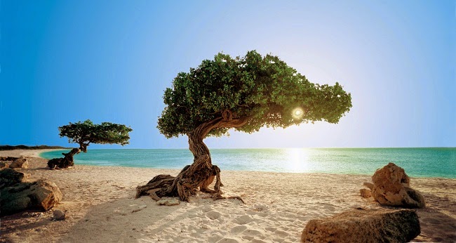 Dutch Holiday Paradise in the Caribbean – Wonderful Aruba