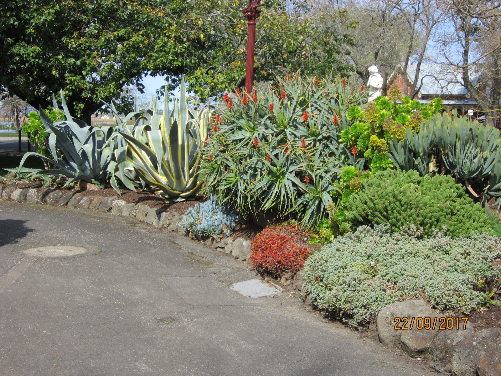 The Niche Nursery Ballarat & Melbourne