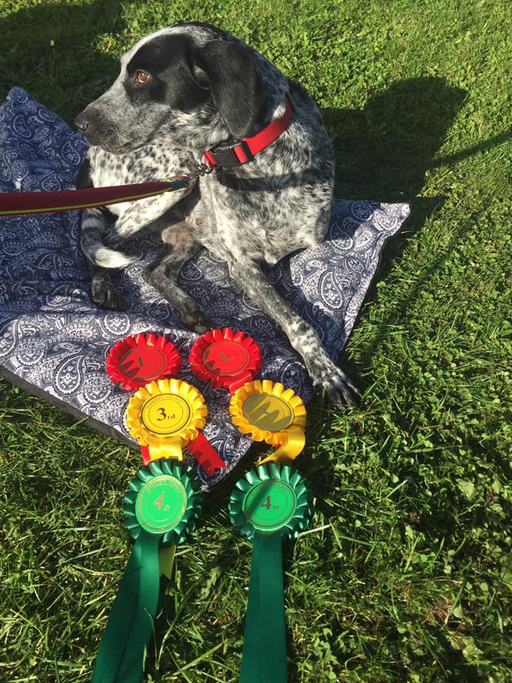 The Orchard Tea Room Farm Shop 2016 the-orchard-tea-room-farm-shop-2016