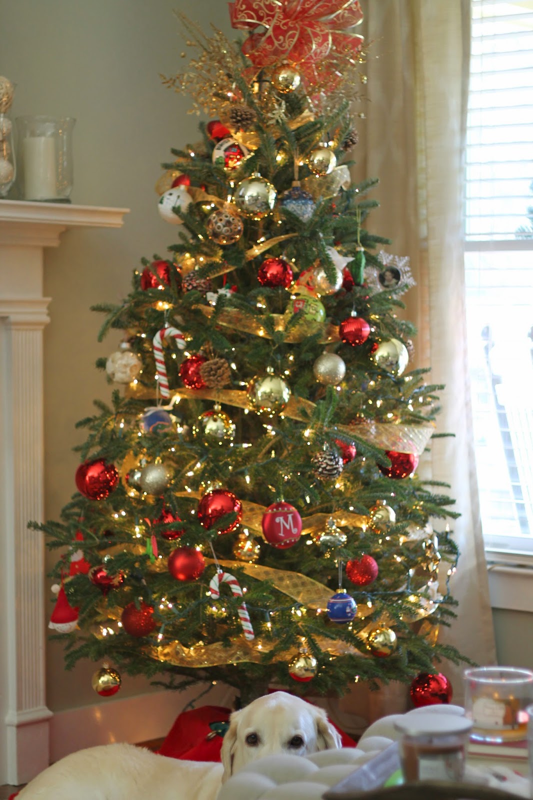 Christmas Tree Shop Florida 2021